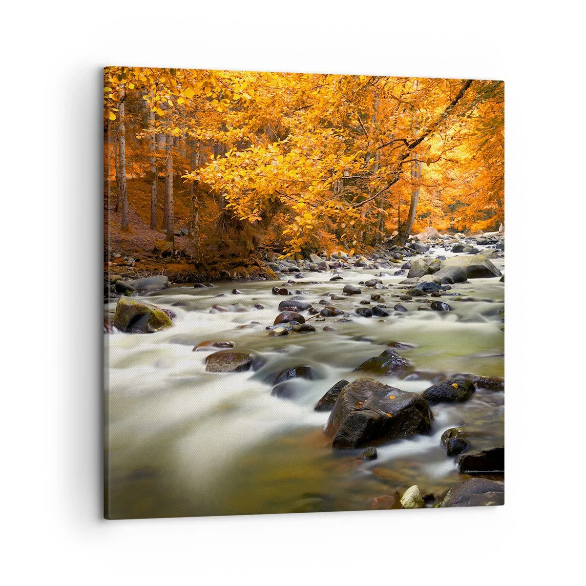 Lærredstryk - Billede på lærred - Et vandløb i den gyldne skov - 50x50 cm
