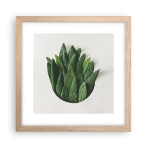 Plakat i ramme af lyst egetræ - Uhæmmet nysgerrighed - 30x30 cm