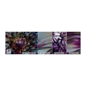 Prøve Fototapet Premium Canvas - Ungdommens blomstring - Blomster, Dahlia, blomstrende blomst - 100x30 cm