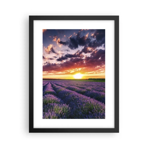 Plakat i sort ramme - Lavendelverden - 30x40 cm