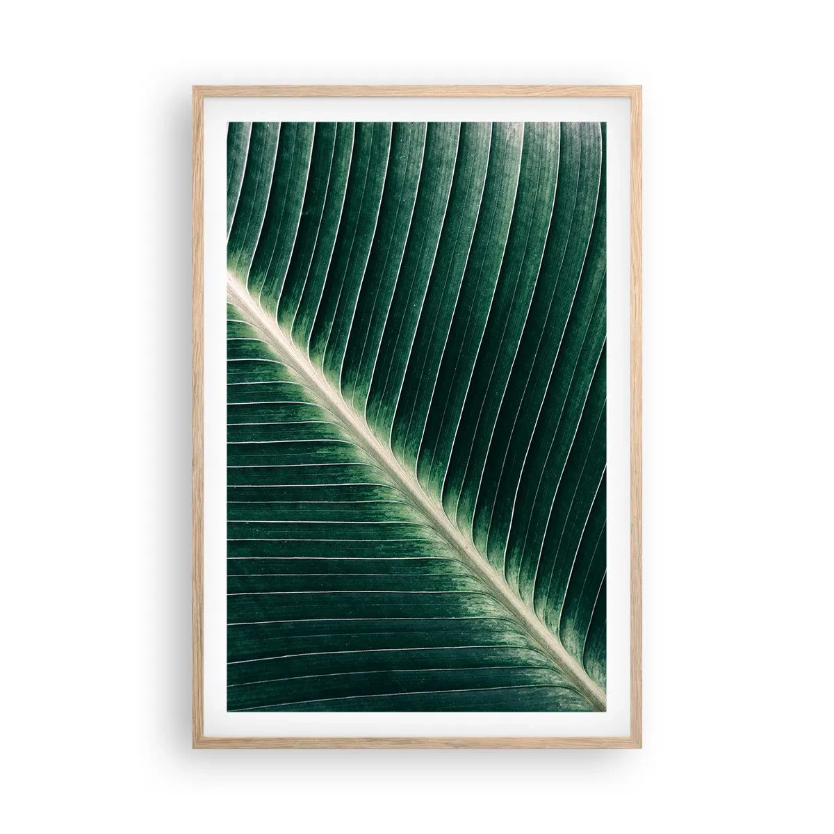 Plakat i ramme af lyst egetræ - Naturens rytme - 61x91 cm