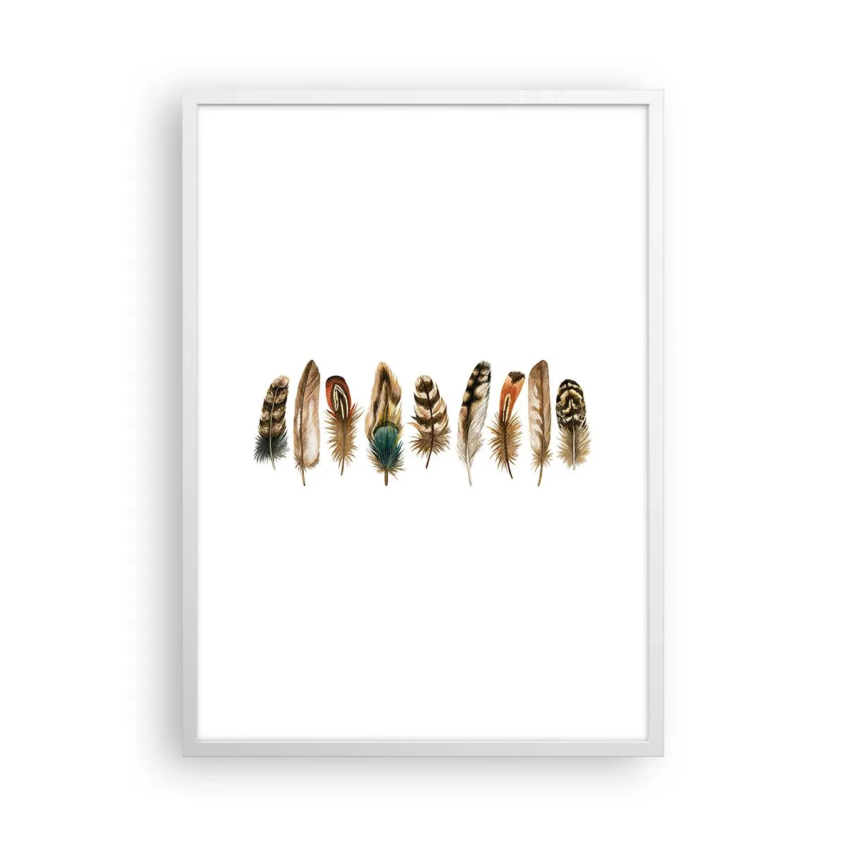 Plakat i hvid ramme - Variation med fjer - 50x70 cm