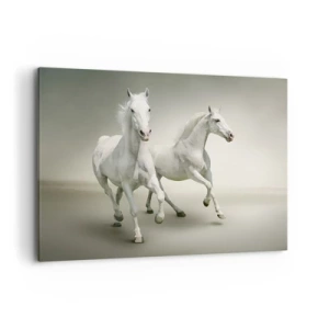 Lærredstryk - Billede på lærred - White power! - 100x70 cm