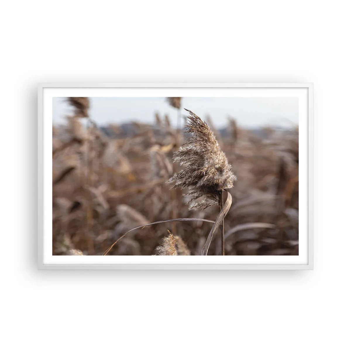 Plakat i hvid ramme - Tid til at flyve væk med vinden - 91x61 cm