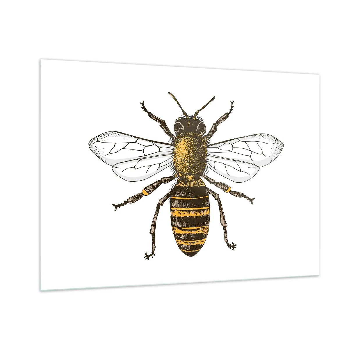 Billede på glas - Smuk og god - 100x70 cm