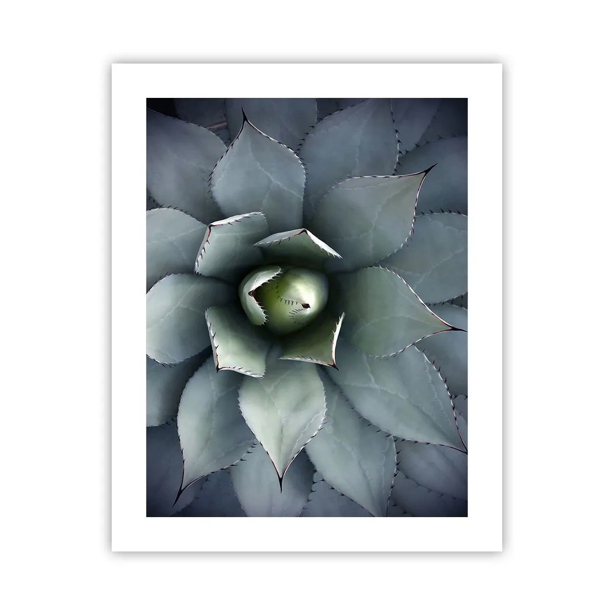 Plakat - Lokkemad og advarsler - 40x50 cm