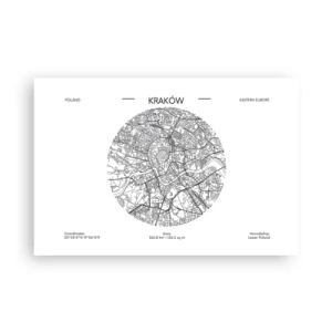Plakat - Krakows anatomi - 91x61 cm