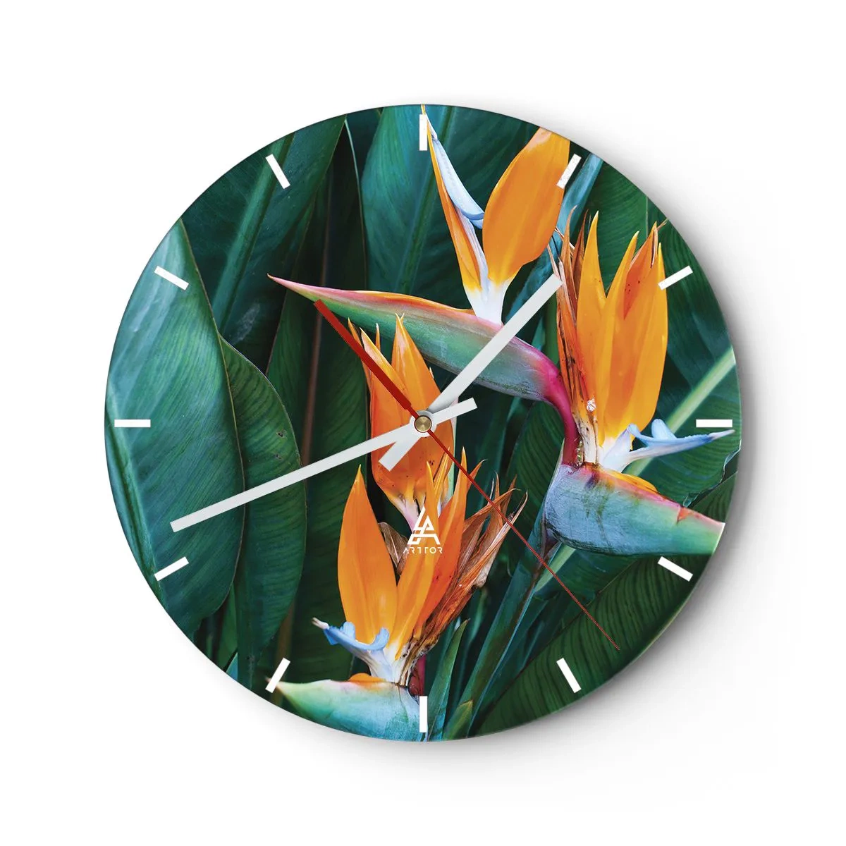 Vægur, Uret - Eksotiske strelitziablomster mod en baggrund af grønne blade - 30x30cm - Er det en blomst eller er det en fugl? - Moderne vægdekoration til stue, køkken og soveværelse ARTTOR