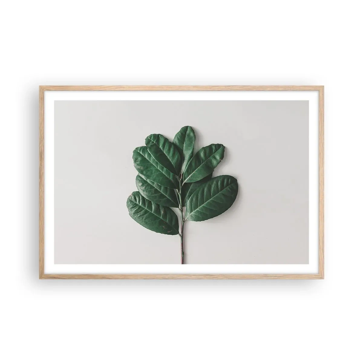 Plakat i ramme af lyst egetræ - Tegning af selve naturen - 91x61 cm