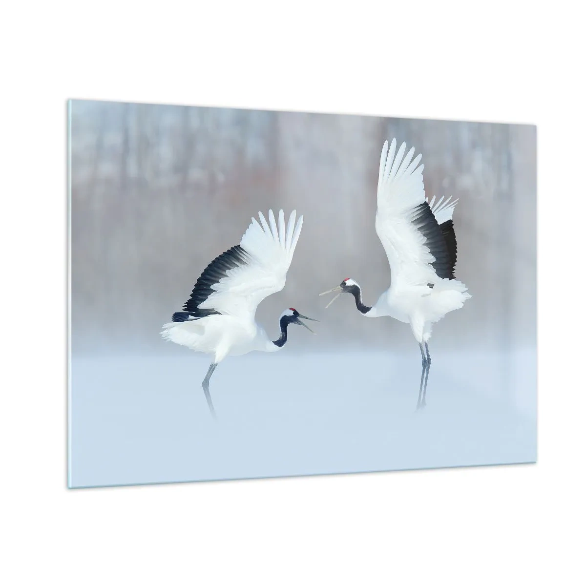 Billede på glas - Danser i tågen - 100x70 cm