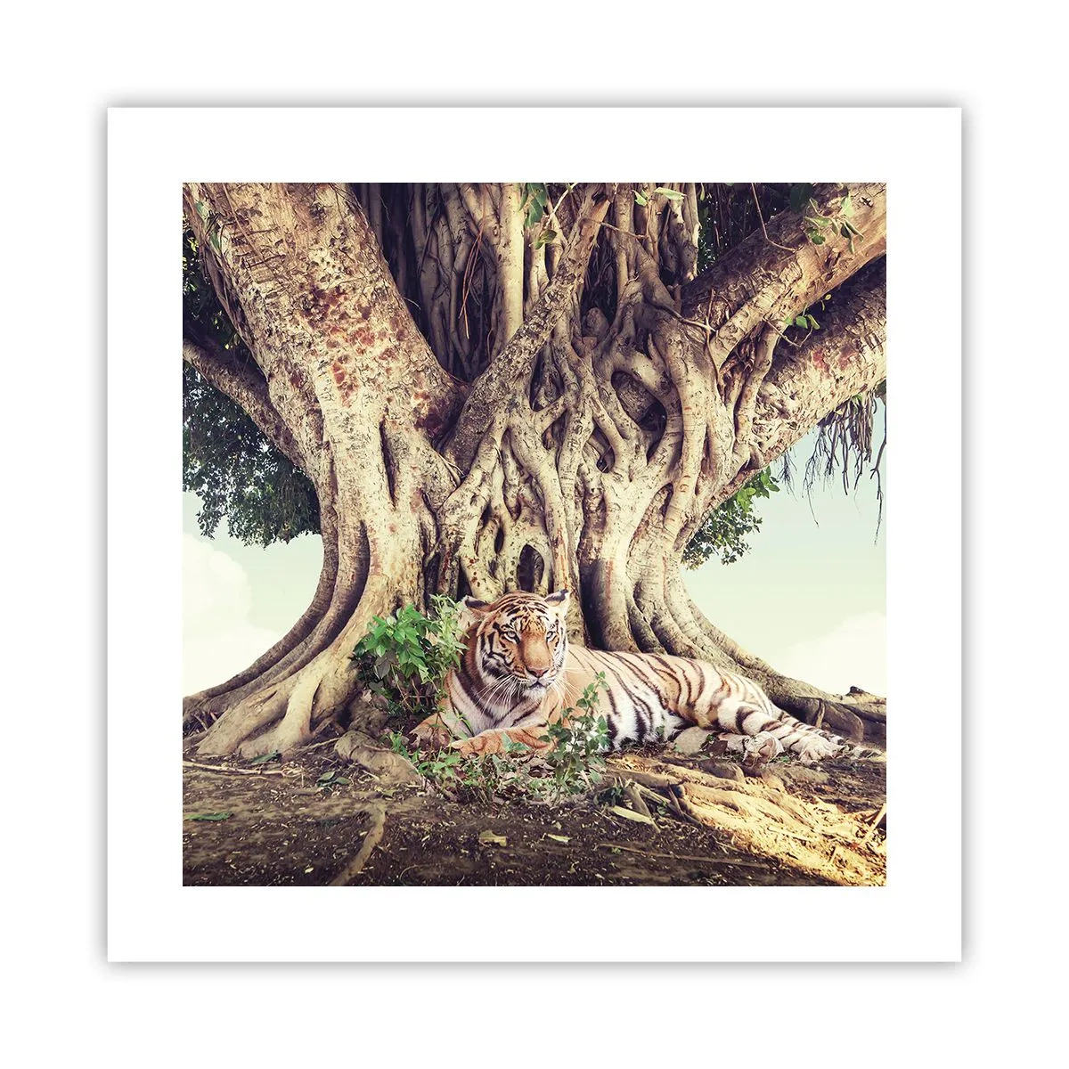 Plakat - Udsigt fra Første Mosebog - 40x40 cm