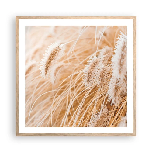 Plakat i ramme af lyst egetræ - Gyldent susen af græsser - 60x60 cm