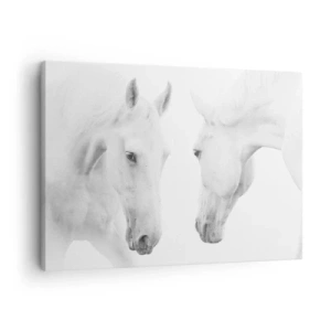 Lærredstryk - Billede på lærred - Et minimalistisk portræt af to hvide heste - 70x50cm - Er dette venskab...? - Moderne vægdekoration til stue og soveværelse ARTTOR