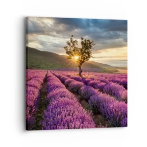 Lærredstryk - Billede på lærred - Lilla aroma - 30x30 cm