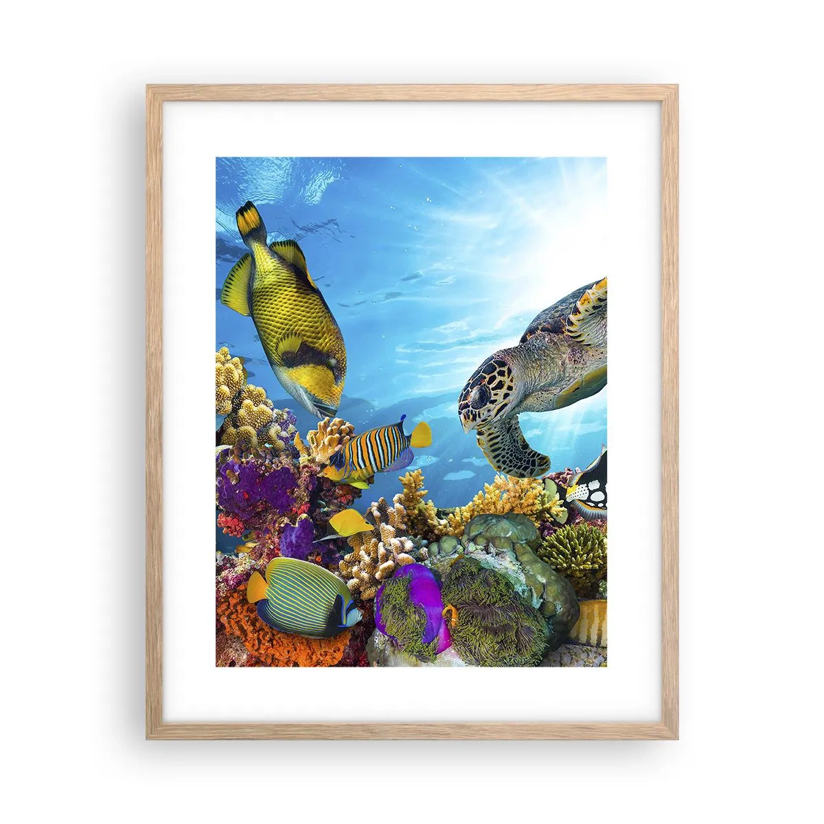 Plakat i ramme af lyst egetræ - Koralpromenade - 40x50 cm