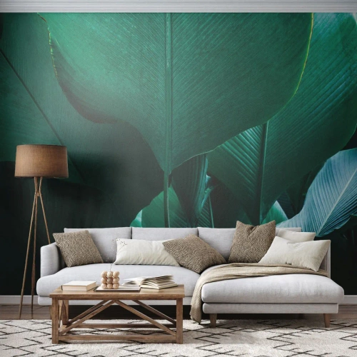 Fototapet Premium Canvas - Mod lyset - Bananblad, Banantræ, Plante - 500x350 cm