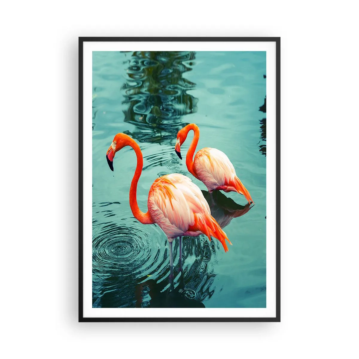 Plakat i sort ramme - Vi er nu på mode - 70x100 cm