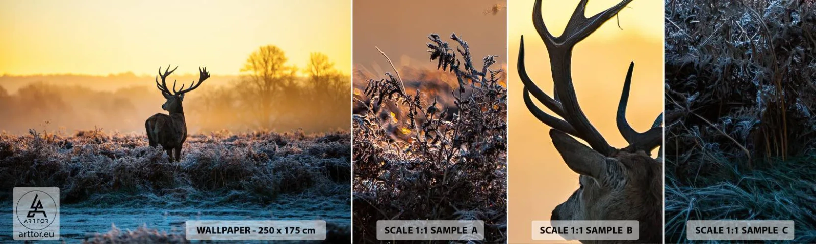 Fototapet Prøve Standard Eco - Kronet på sine godser - Landskab, Dyr, Hjort - 100x30 cm