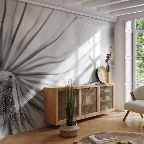 Fototapet Standard Eco - Makrofotografi af en mælkebøtte i sort-hvid - 100x70cm - Blæsende drager - Moderne vægdekoration til stue og soveværelse ARTTOR