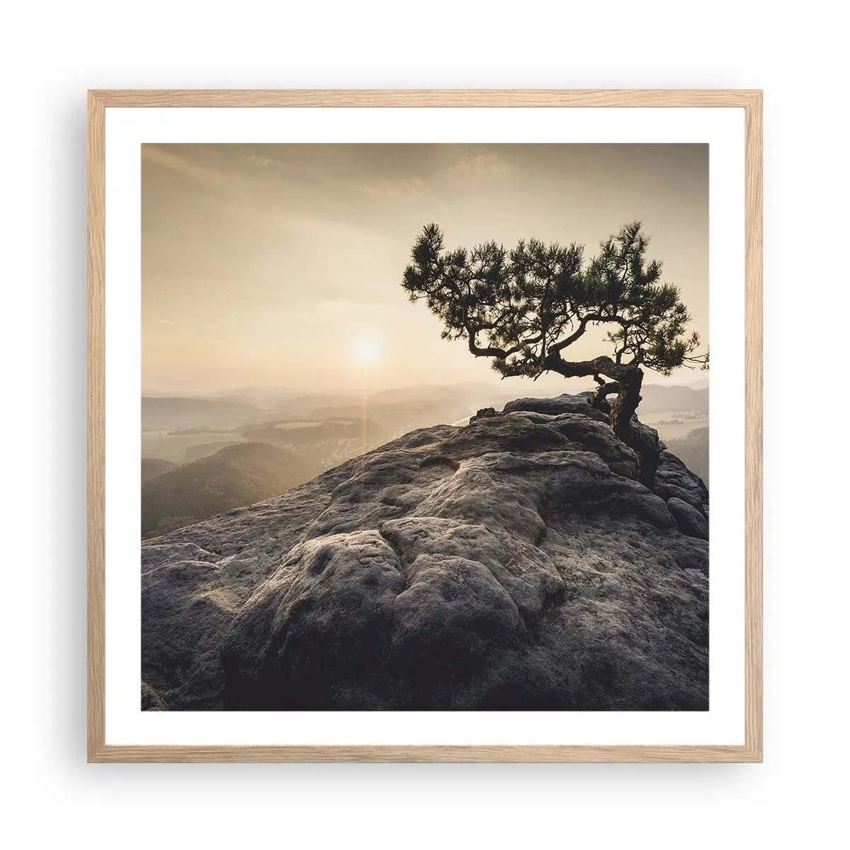 Plakat i ramme af lyst egetræ - Livet vinder altid - 60x60 cm