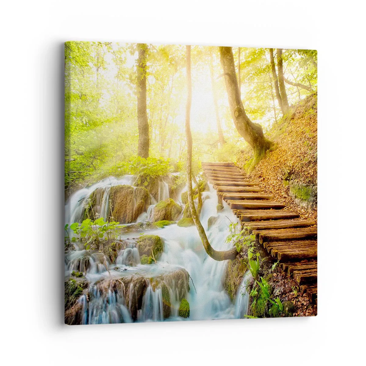 Lærredstryk - Billede på lærred - Den ønskede kølighed - 30x30 cm