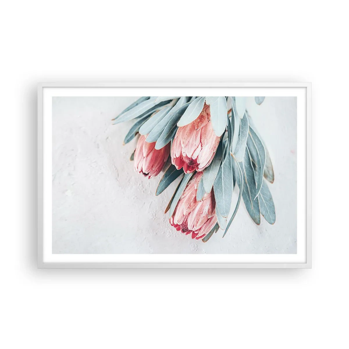 Plakat i hvid ramme - Skammer sig over deres egen skønhed - 91x61 cm