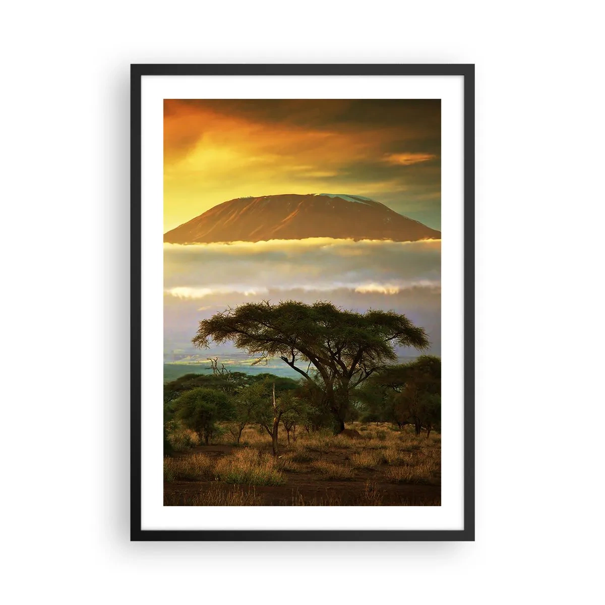 Plakat i sort ramme - Kilimanjaro ved solnedgang i den afrikanske savanne - 50x70cm - En rejsendes drøm - Moderne vægdekoration til stue og soveværelse ARTTOR