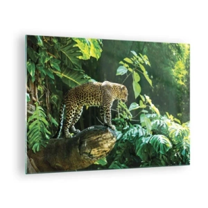 Billede på glas - Leopard på en klippe i den tropiske jungle - 70x50cm - Til jagt? - Moderne vægdekoration til stue og soveværelse ARTTOR