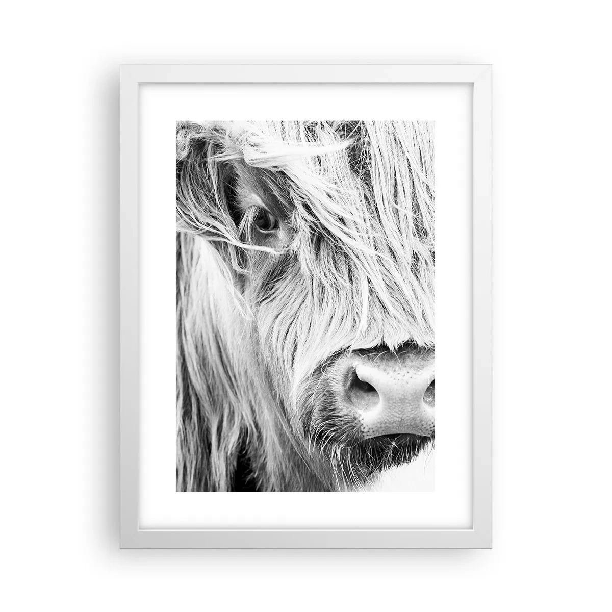 Plakat i hvid ramme - Skotsk vildmark - 30x40 cm