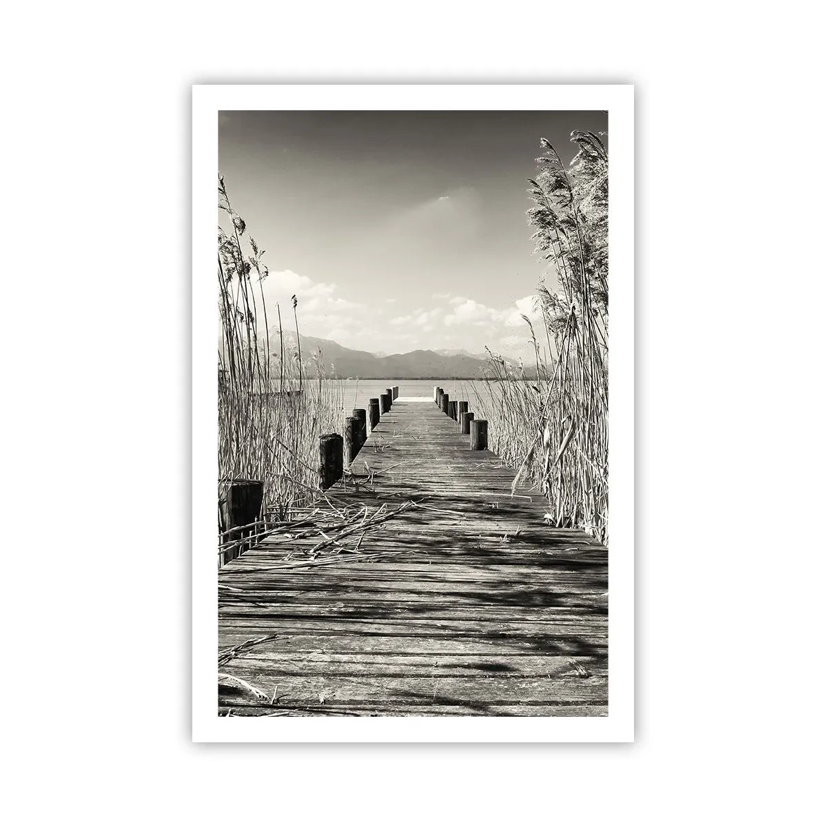 Plakat - I græssernes fred - 61x91 cm