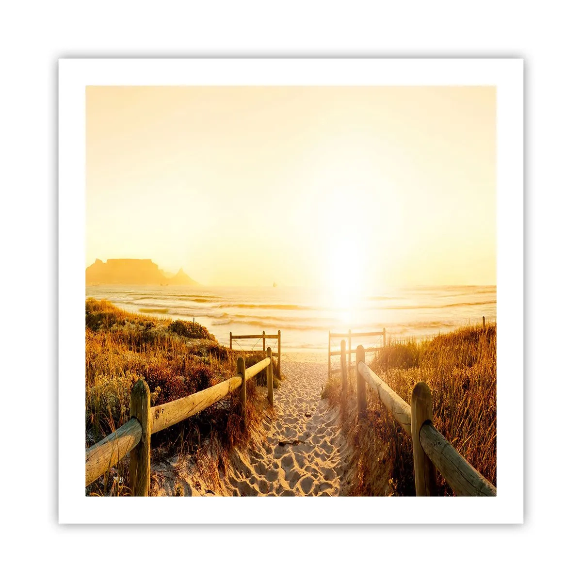 Plakat - Over klitten, mod solen - 60x60 cm