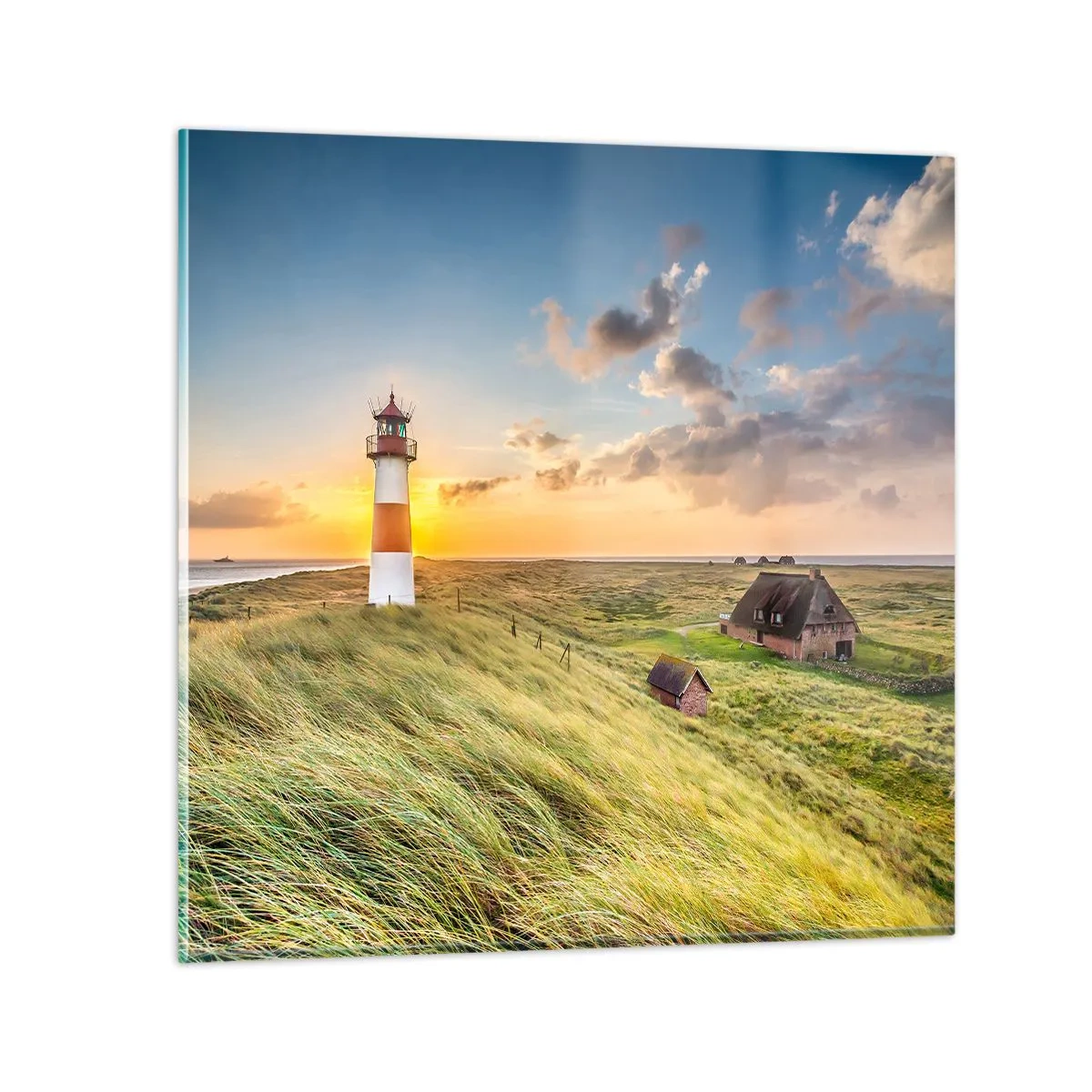 Billede på glas - Mellem bølgerne - 60x60 cm