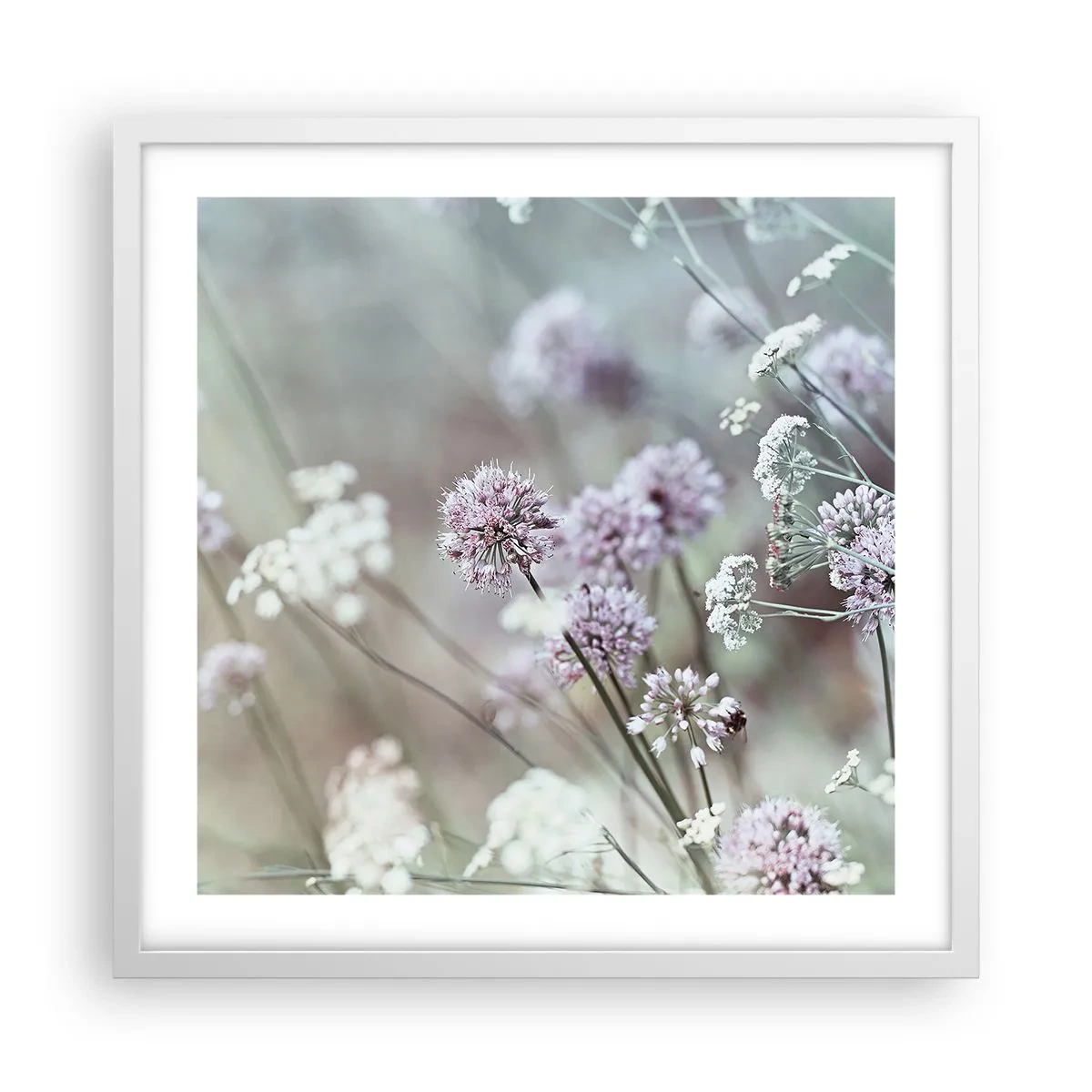 Plakat i hvid ramme - Søde filigranurter - 50x50 cm