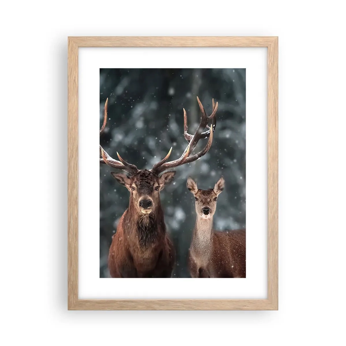 Plakat i ramme af lyst egetræ - Skovens herre og hans kone - 30x40 cm