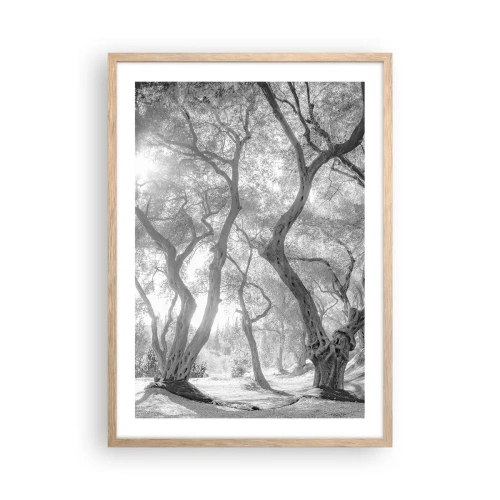 Plakat i ramme af lyst egetræ - I en olivenlund - 50x70 cm