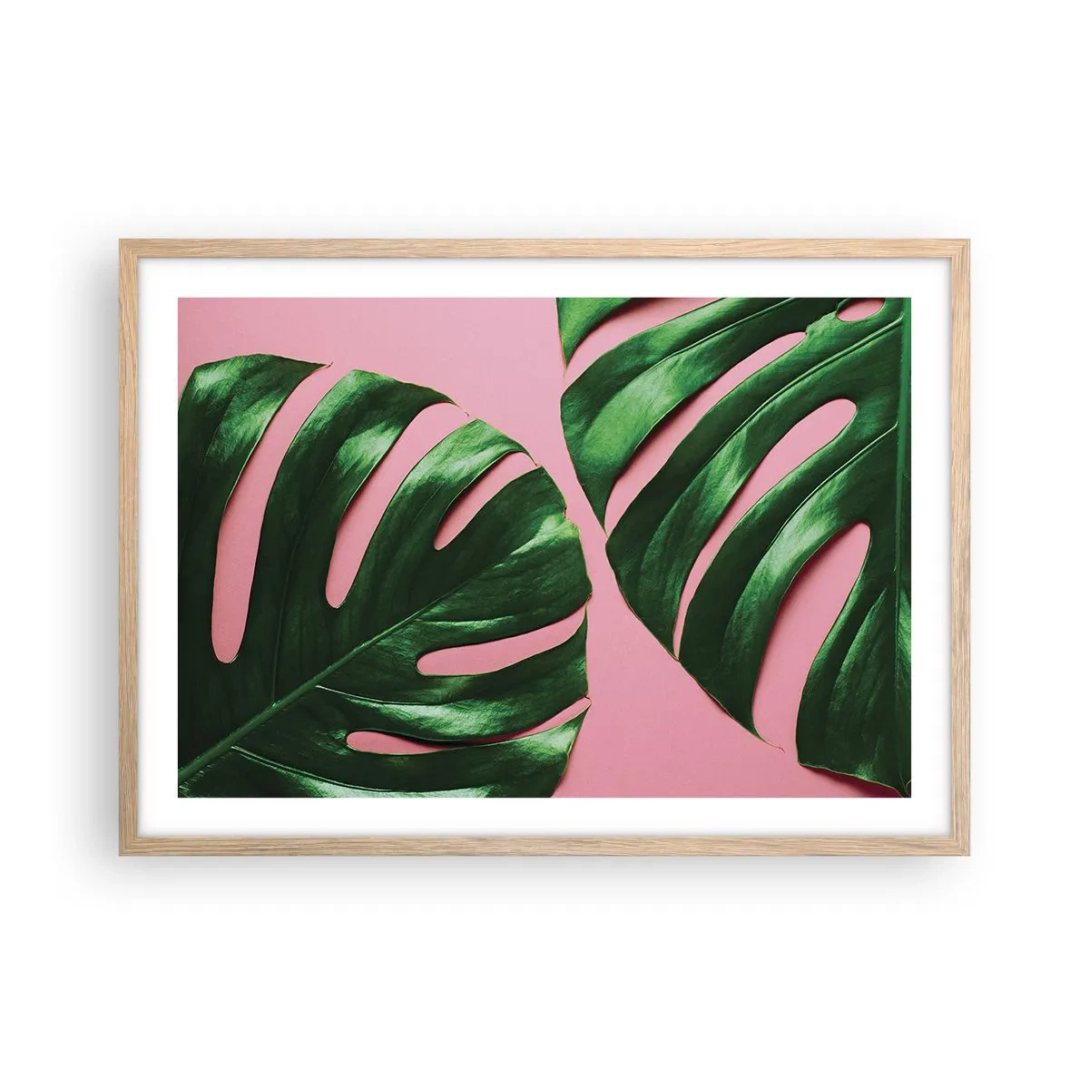 Plakat i ramme af lyst egetræ - Grønt rendez-vous - 70x50 cm