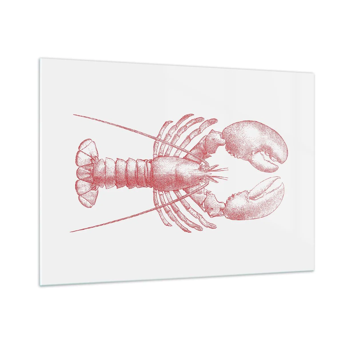Billede på glas - Hummer, der er Homer værdig - 100x70 cm