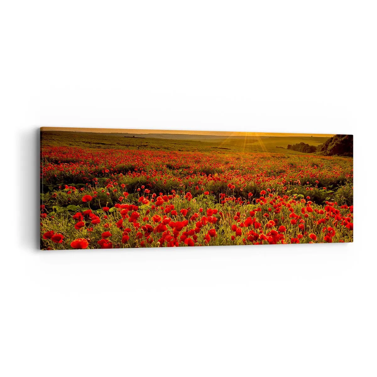 Lærredstryk - Billede på lærred - Blandt bølgerne af raslende enge, blandt flodblomster - 90x30 cm