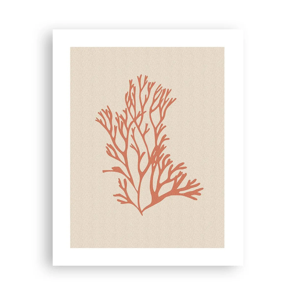 Plakat - Koral filigran - 40x50 cm