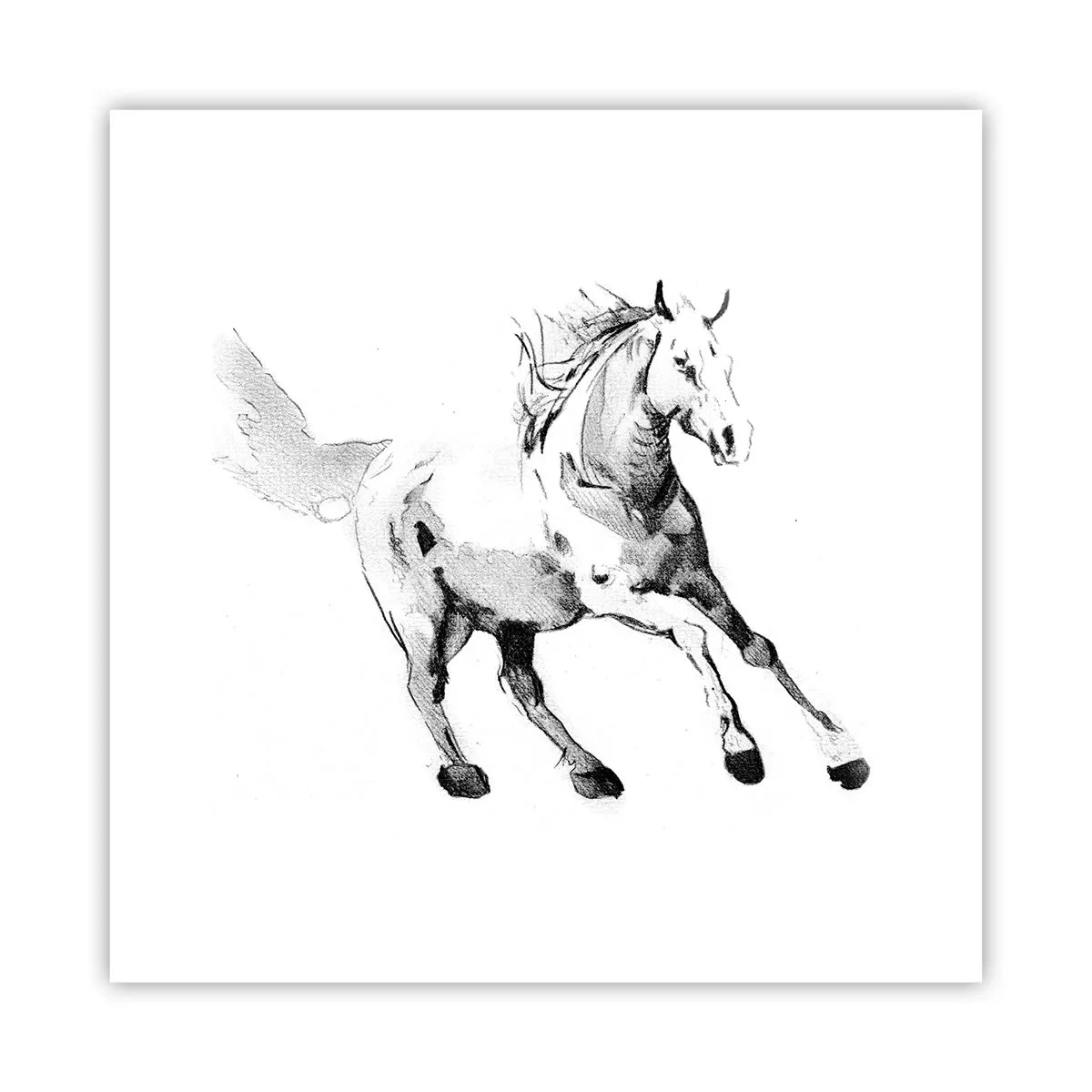 Plakat - Utæmmet sjæl - 30x30 cm