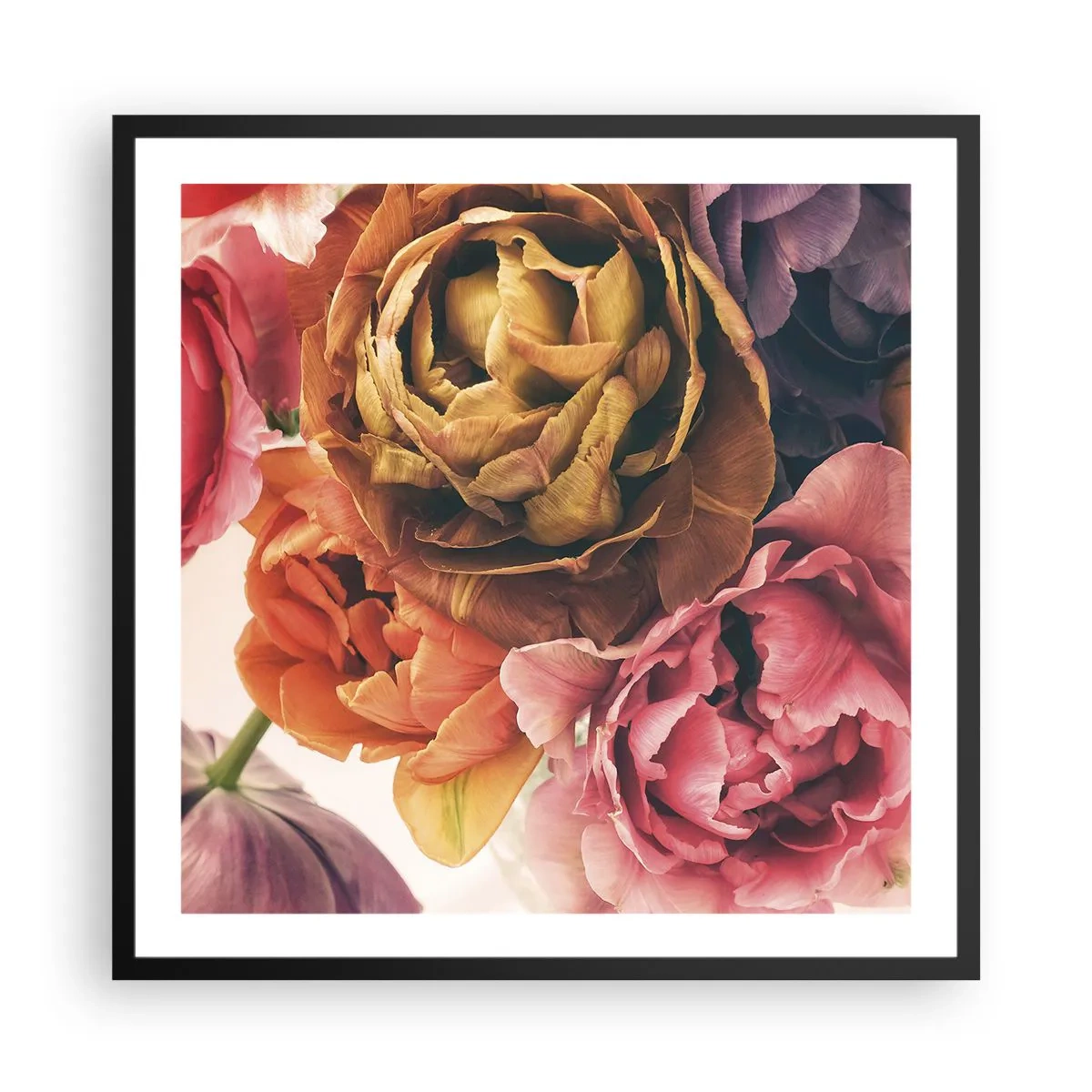 Plakat i sort ramme - Fejring af livet - 60x60 cm