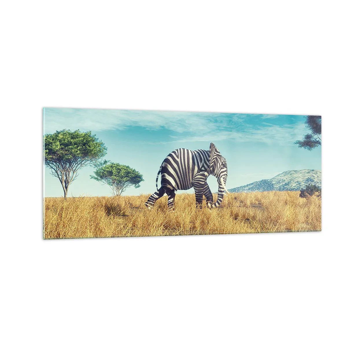 Billede på glas - Grå er ikke længere på mode - 100x40 cm