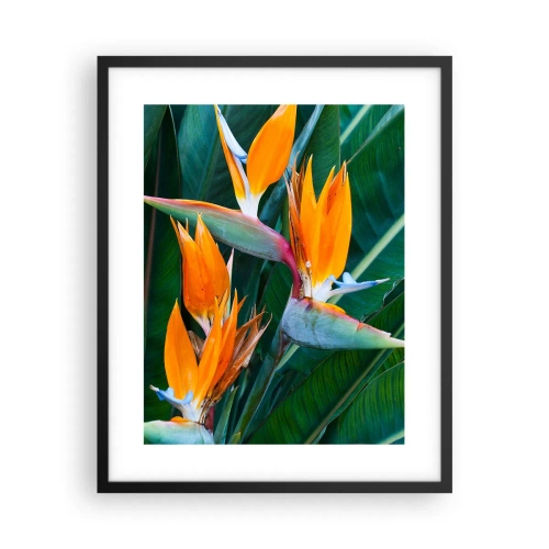 Plakat i sort ramme - Er det en blomst eller er det en fugl? - 40x50 cm