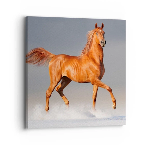 Lærredstryk - Billede på lærred - Dansende ynde - 30x30 cm