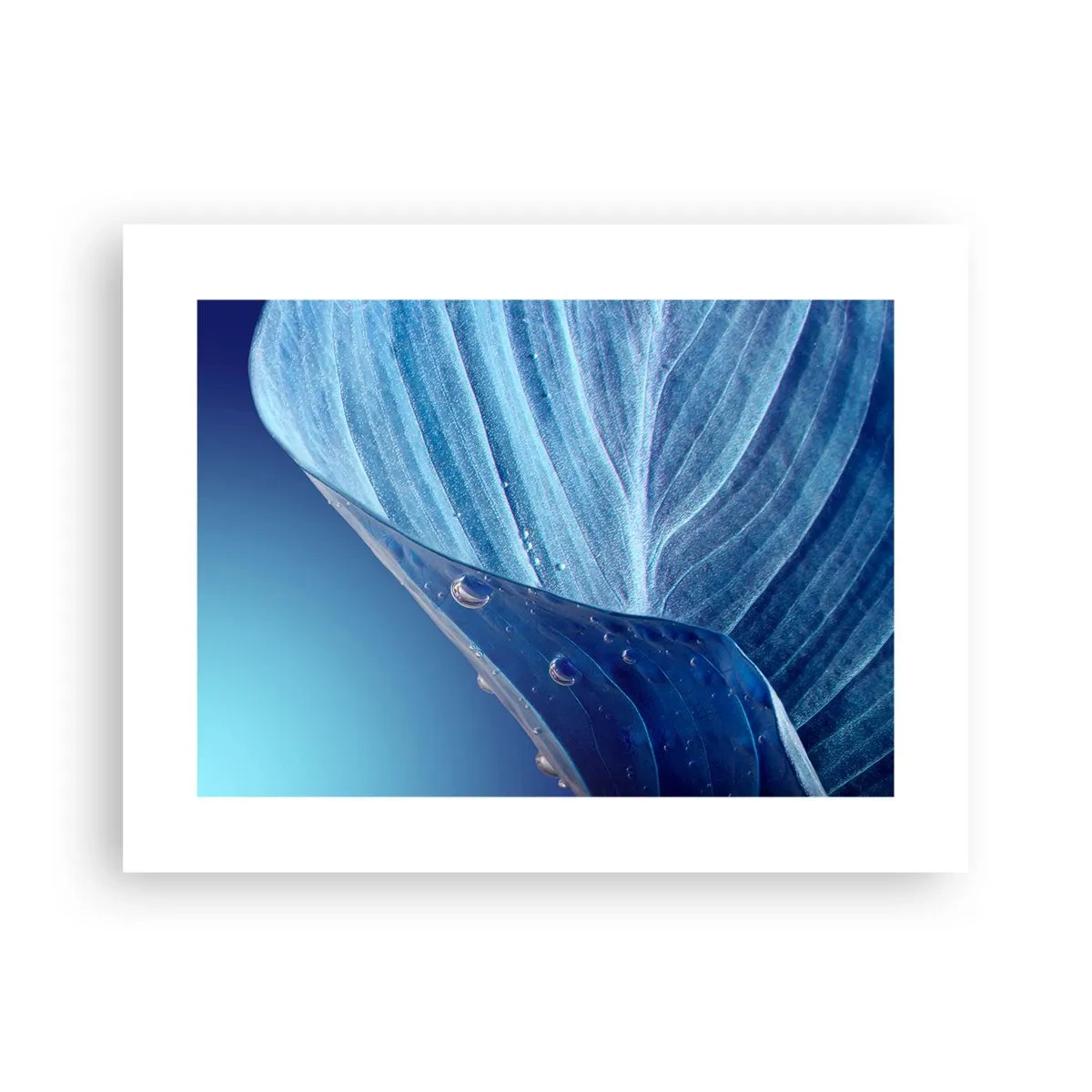 Plakat - Skjulte dråber af blåt - 40x30 cm