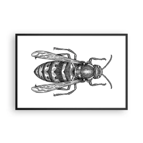 Plakat i sort ramme - Fra en insektplanet - 91x61 cm