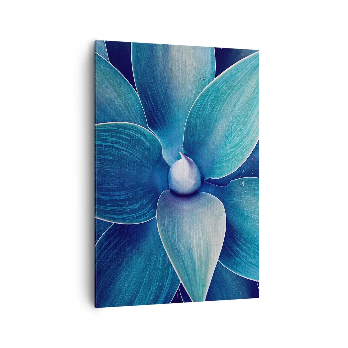 Lærredstryk - Billede på lærred - Blå fra himlen - 70x100 cm