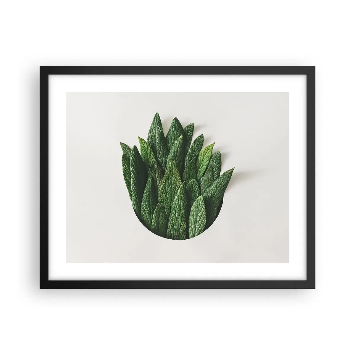 Plakat i sort ramme - Uhæmmet nysgerrighed - 50x40 cm