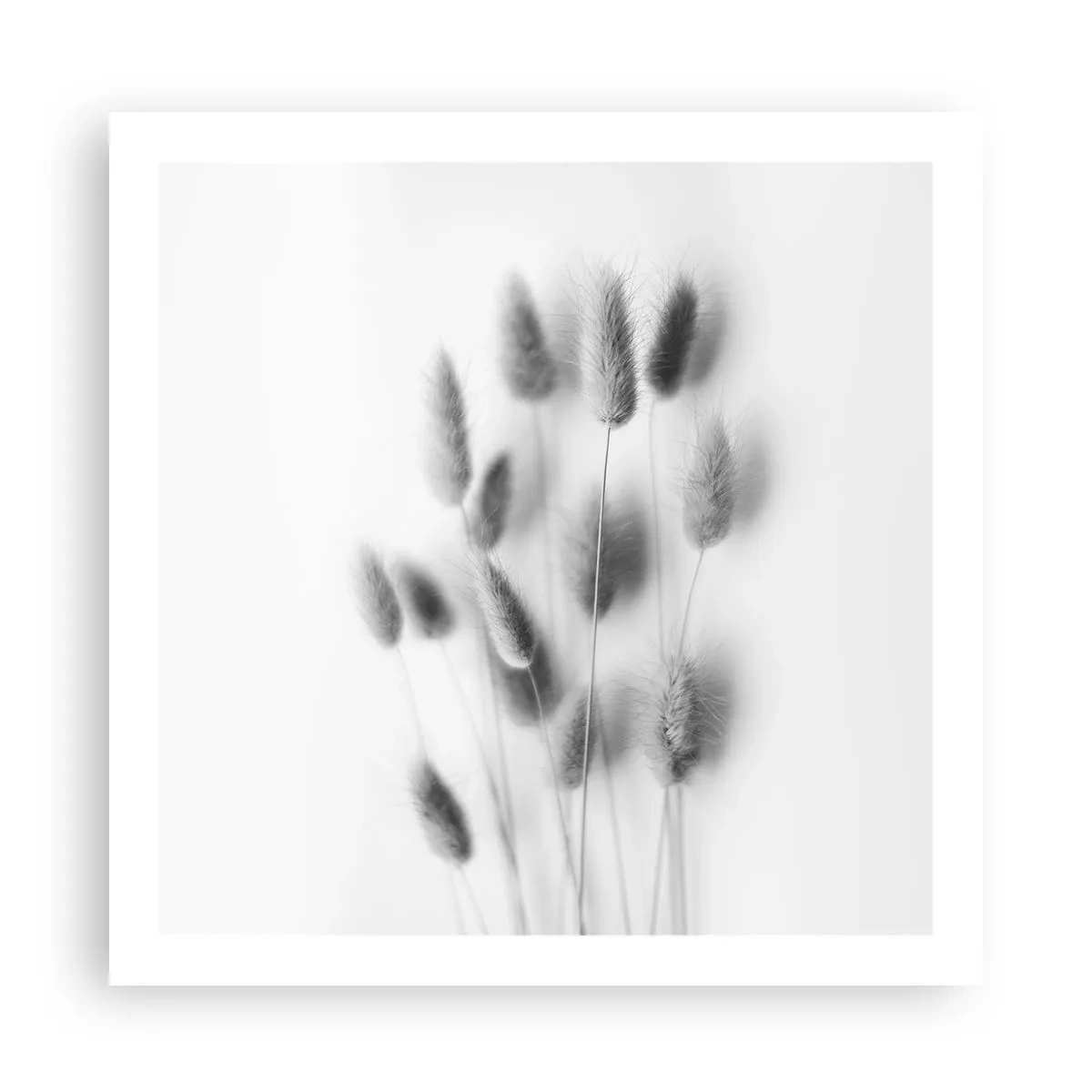 Plakat - Dens bløde græs - 60x60 cm