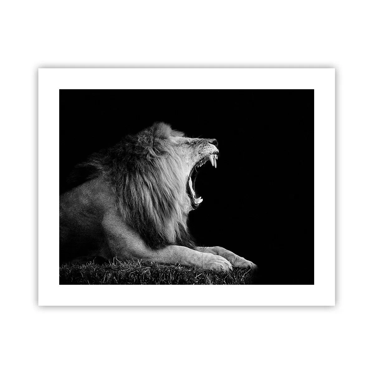 Plakat - Uden tvivl - 50x40 cm